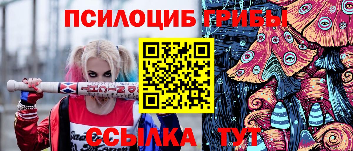 Псилоцибиновые грибы мицелий Протвино
