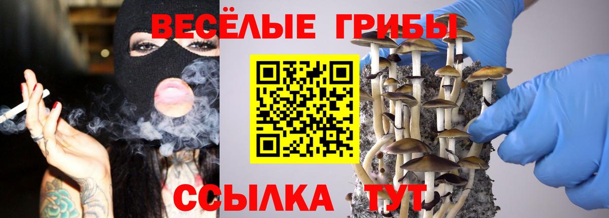 Протвино  Галлюциногенные грибы Magic Shrooms  Вход с VPN  Галлюциногенные грибы Magic Shrooms 